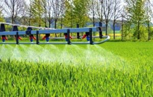 Внесення КАС