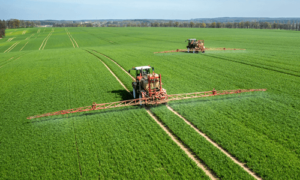 Використання КАС