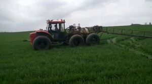 Добриво КАС - що це таке і як його застосовувати